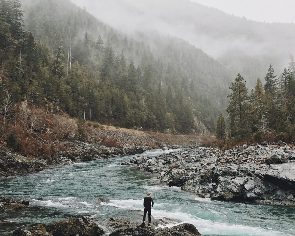 Crítica de Harry Potter y la piedra filosofal